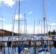 Oyster Cove Inn - Accommodation Bookings