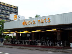Ducks Nuts Bar & Grill - Accommodation Bookings 2