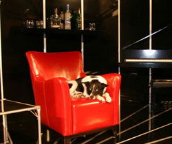 Old Fitzroy Hotel - Accommodation Bookings 2