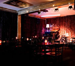 Paris Cat - Accommodation Bookings 3