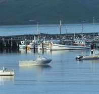 The Apollo Bay Hotel - Accommodation Bookings
