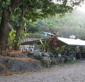 Ellis Beach Bar  Grill - Accommodation Bookings