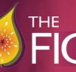 Pickled Fig - Accommodation Bookings