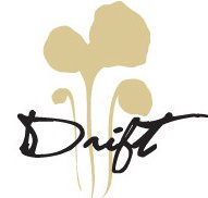 Drift Bar in Ravesis - Accommodation Bookings