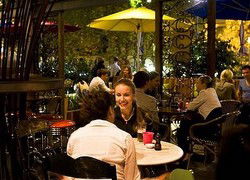 Treehouse Hotel - Accommodation Bookings 0