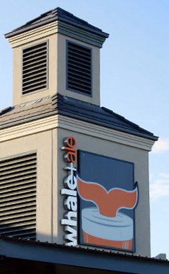 The Whale & Ale - Accommodation Bookings 1