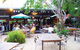 Lizard's Outdoor Bar And Grill - thumb 2