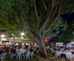 Premier Hotel - Accommodation Bookings 2