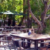 Lizard's Outdoor Bar And Grill - Accommodation Bookings 3