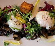 Greenhouse - Accommodation Bookings 3