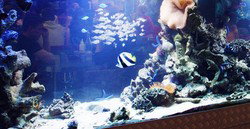 Cicerellos - Accommodation Bookings 3