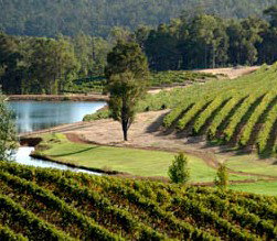 Brookhampton Estate Vineyard - Accommodation Bookings 0