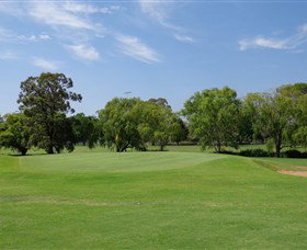 Singleton Golf Club - Accommodation Bookings 1