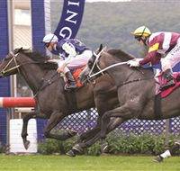 Gosford Race Club - Accommodation Bookings