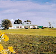 Lucindale Country Club - Accommodation Bookings