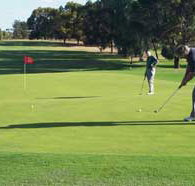 Waikerie Golf Club - Accommodation Bookings