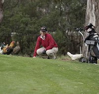 Tasmania Golf Club - The - Accommodation Bookings