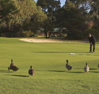 Royal Hobart Golf Club - Accommodation Bookings