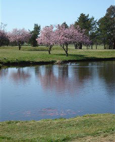 RMC Golf Club - Accommodation Bookings 0