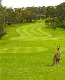 Pambula Merimbula Golf Club - Accommodation Bookings 2
