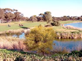 Maitland Golf Club Incorporated - Accommodation Bookings 1