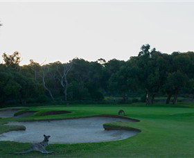 Anglesea Golf Club - Accommodation Bookings 8