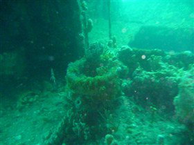 Wallaroo Scuba Club - Accommodation Bookings 0