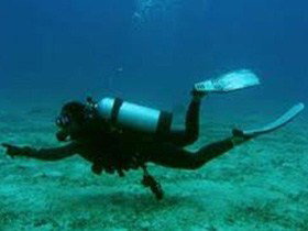 Wallaroo Scuba Club - Accommodation Bookings 1