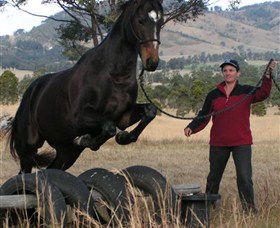 Kings Creek Saddle Club - Accommodation Bookings 5