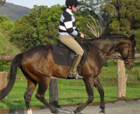 Kings Creek Saddle Club - Accommodation Bookings 6