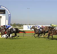 Kembla Grange Racecourse - Illawarra Turf Club - Accommodation Bookings