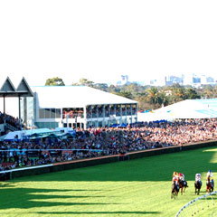 Morphettville SA Accommodation Bookings
