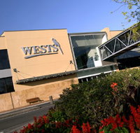 Wests New Lambton - Accommodation Bookings