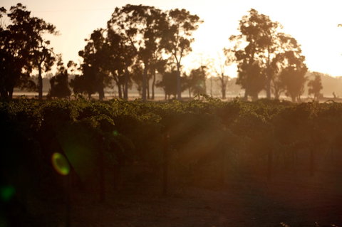 Evans & Tate - Accommodation Bookings 0