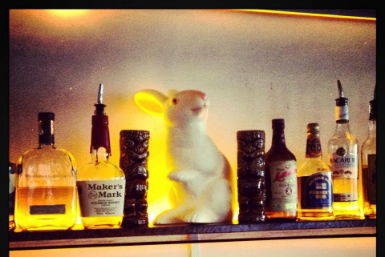 Hairy Canary - Accommodation Bookings 0