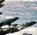 Bondi Social - Accommodation Bookings