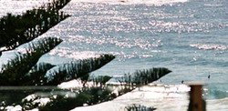 Bondi Social - Accommodation Bookings 0