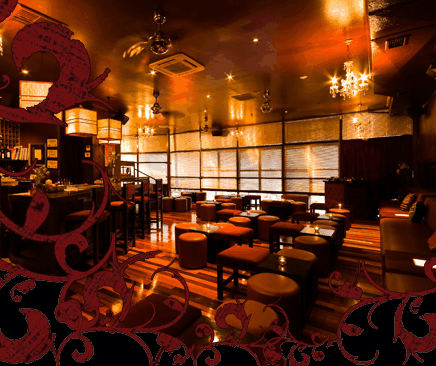 Hippo Lounge Bar - Accommodation Bookings