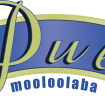 Pub Mooloolaba - Accommodation Bookings