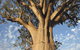 The Kimberley Grande - thumb 0