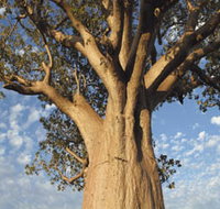 The Kimberley Grande - Accommodation Bookings