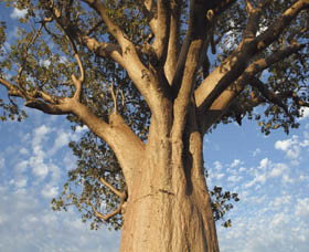 The Kimberley Grande - Accommodation Bookings 0