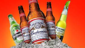 Figtree Cellars - Accommodation Bookings 4