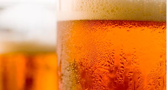 Coledale NSW Accommodation Bookings