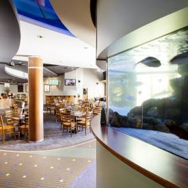 Pub Mooloolaba - Accommodation Bookings 3