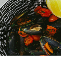The Italian Diner - Accommodation Bookings
