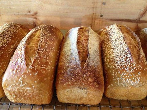 Blackbird Artisan Bakery - Accommodation Bookings 0