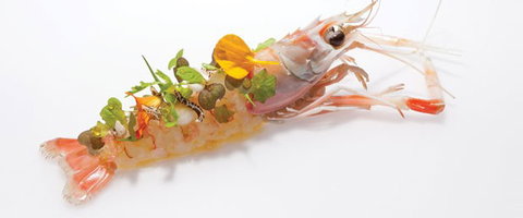 Oscillate Wildly - Accommodation Bookings 1