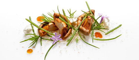 Oscillate Wildly - Accommodation Bookings 2