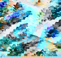 Alcohol Ink Art Class - Accommodation Bookings